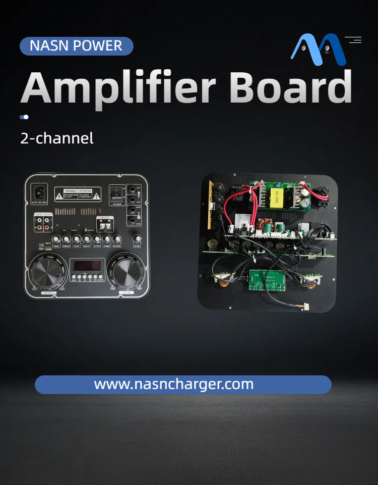 Class D Stereo Digital Audio Power Amplifier Board