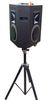 8 Inch Three-sounding Faces Portable Battery Speaker