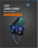 12VDC Pure Sine Wave Inverter