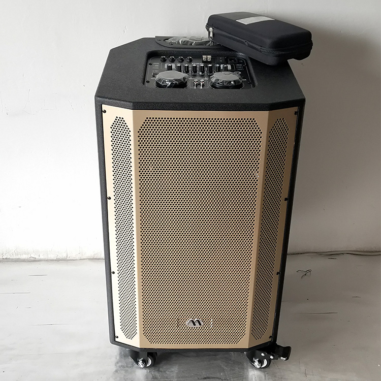 Full Steel Grille 15 Inch Portable Trolley Wooden Speaker with Two Wireless MIC