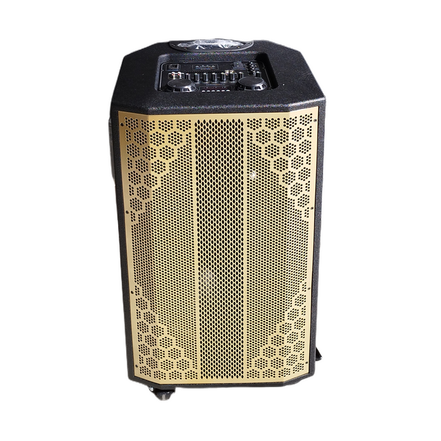 Full Steel Grille 15 Inch Portable Trolley Wooden Speaker with Two Wireless MIC