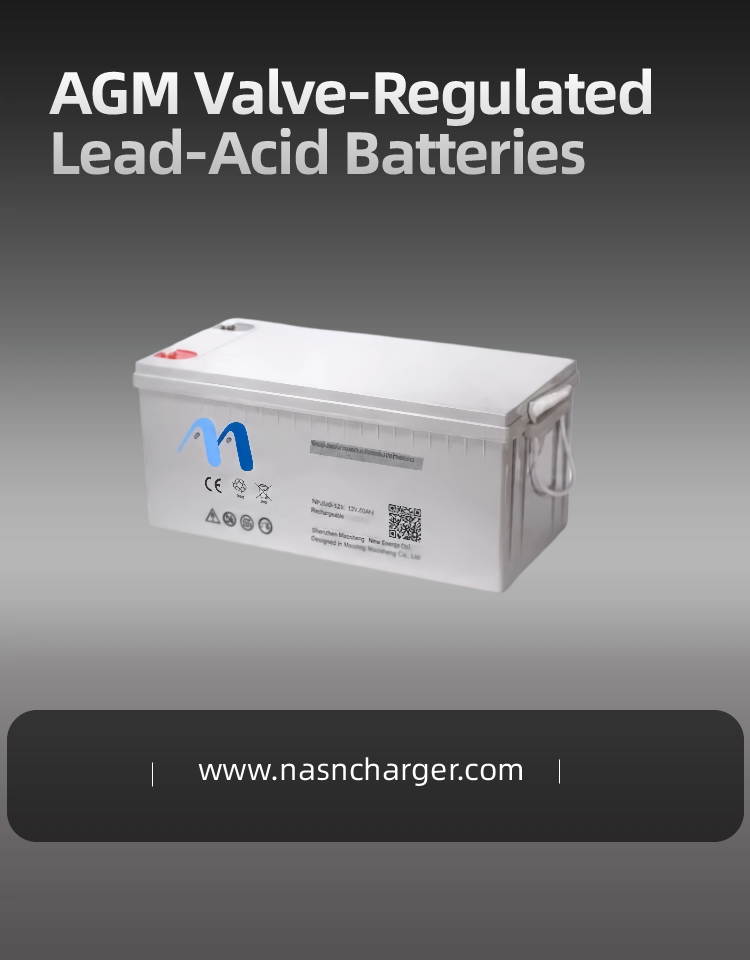 AGM Valve-Regulated Lead-Acid Batteries.png
