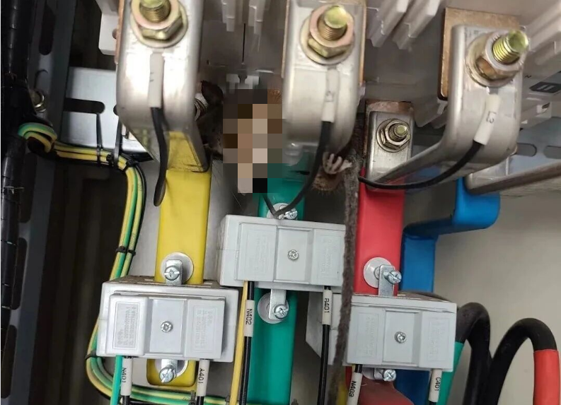 The Hidden Killer in the Switchgear Room: An Electrical Accident Warning Caused by a Single Mouse