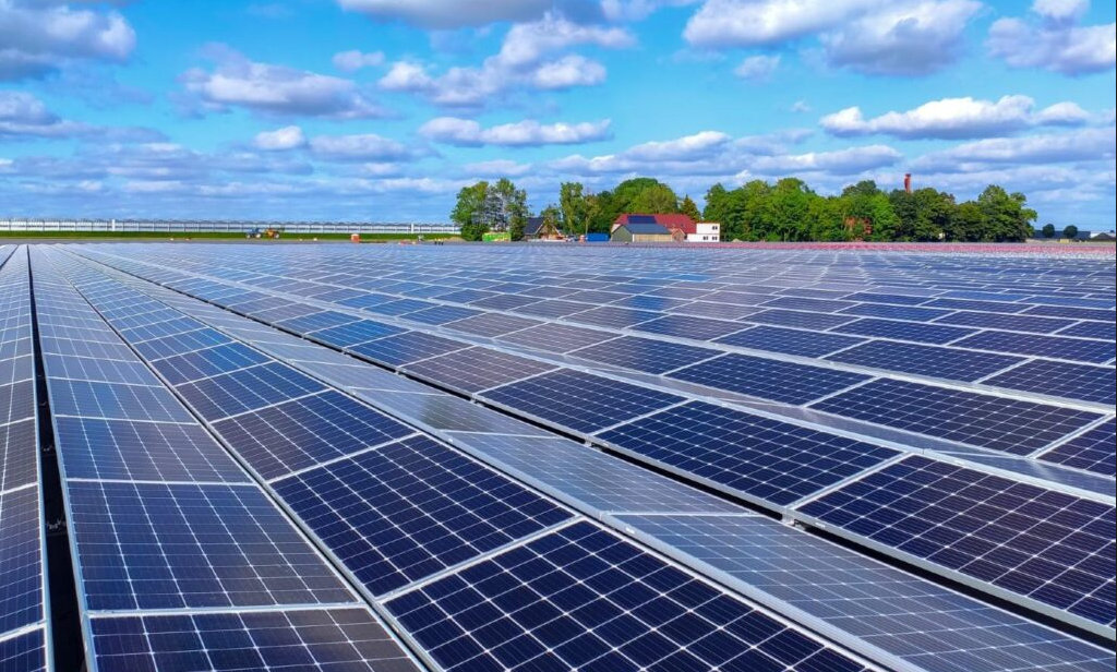 What Is A Solar Farm Overview & Core Advantages.png
